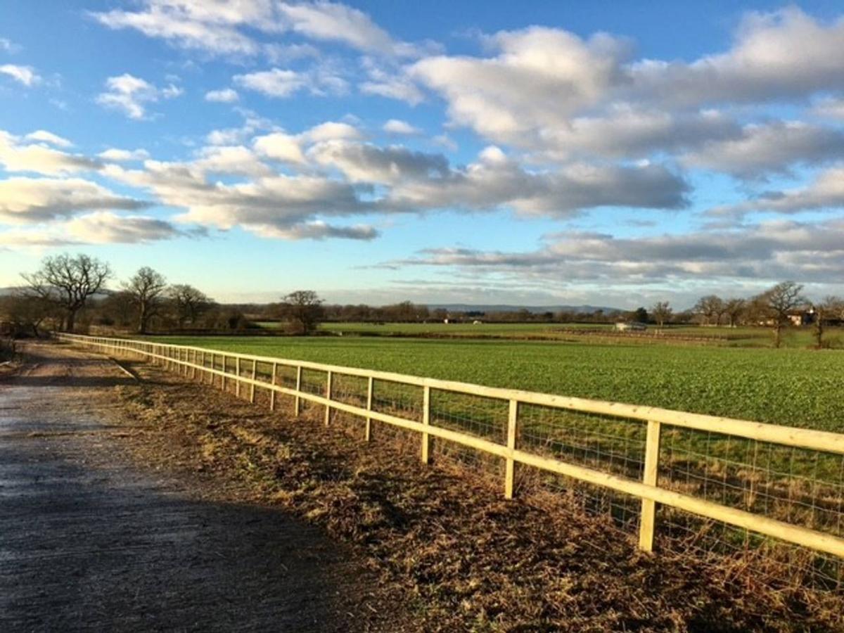 North Cottage - Country Retreat In The Heart Of Sussex -Twineham ภายนอก รูปภาพ